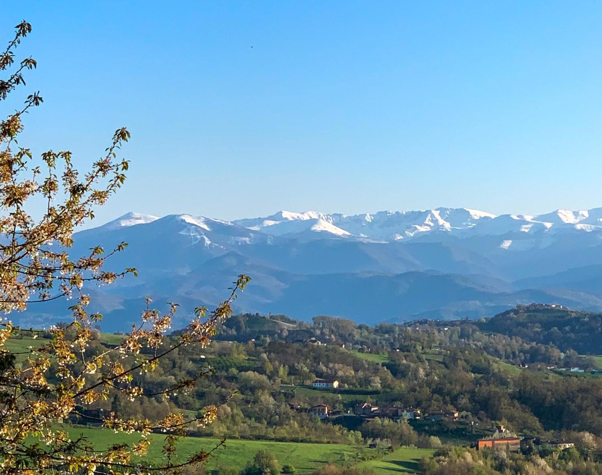 노벨로 Just Langhe Casa Barolo 빌라 외부 사진