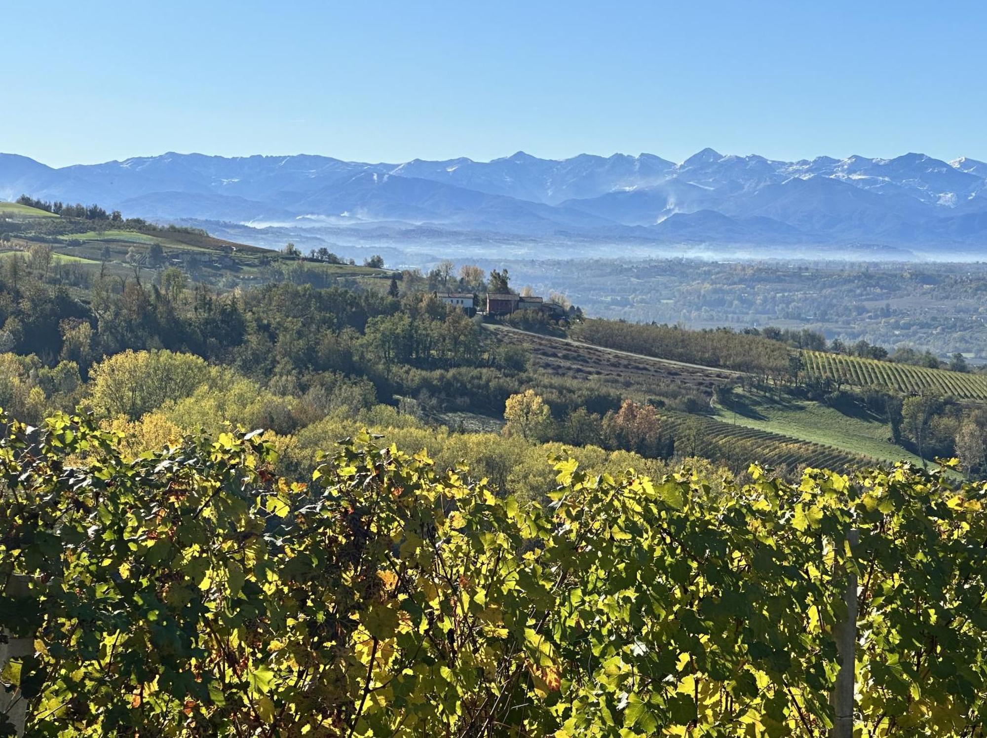 노벨로 Just Langhe Casa Barolo 빌라 외부 사진
