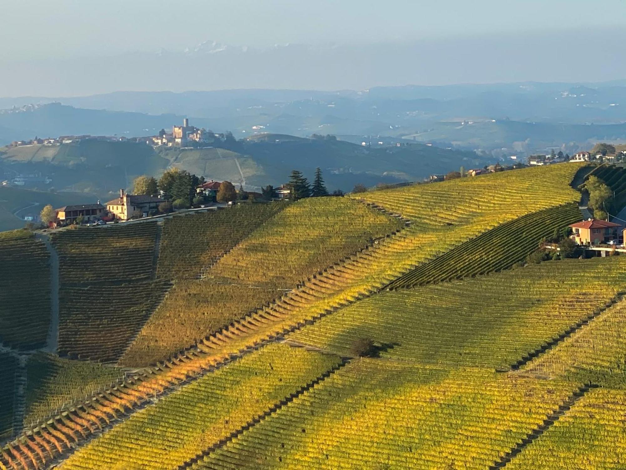 노벨로 Just Langhe Casa Barolo 빌라 외부 사진