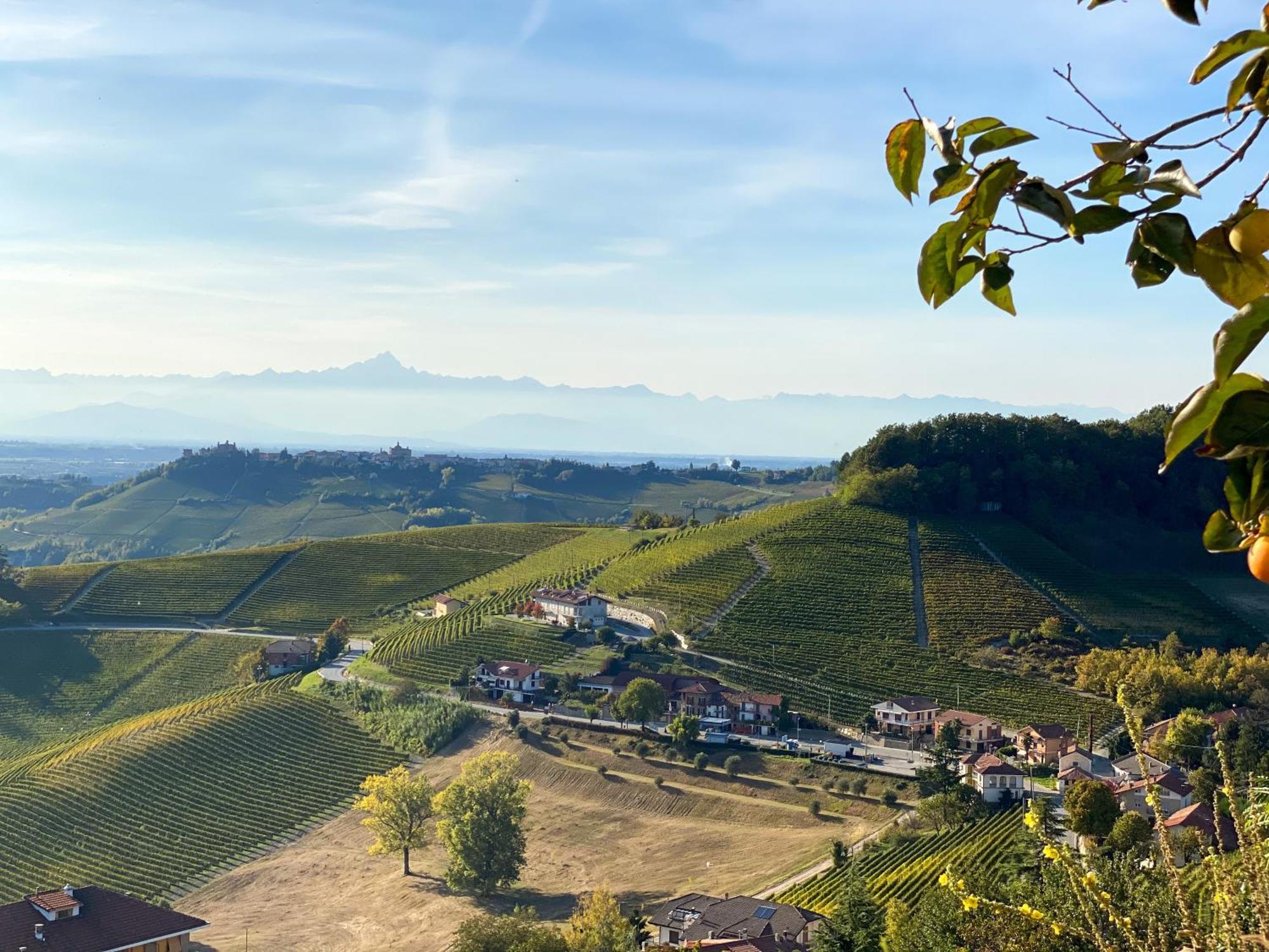 노벨로 Just Langhe Casa Barolo 빌라 외부 사진
