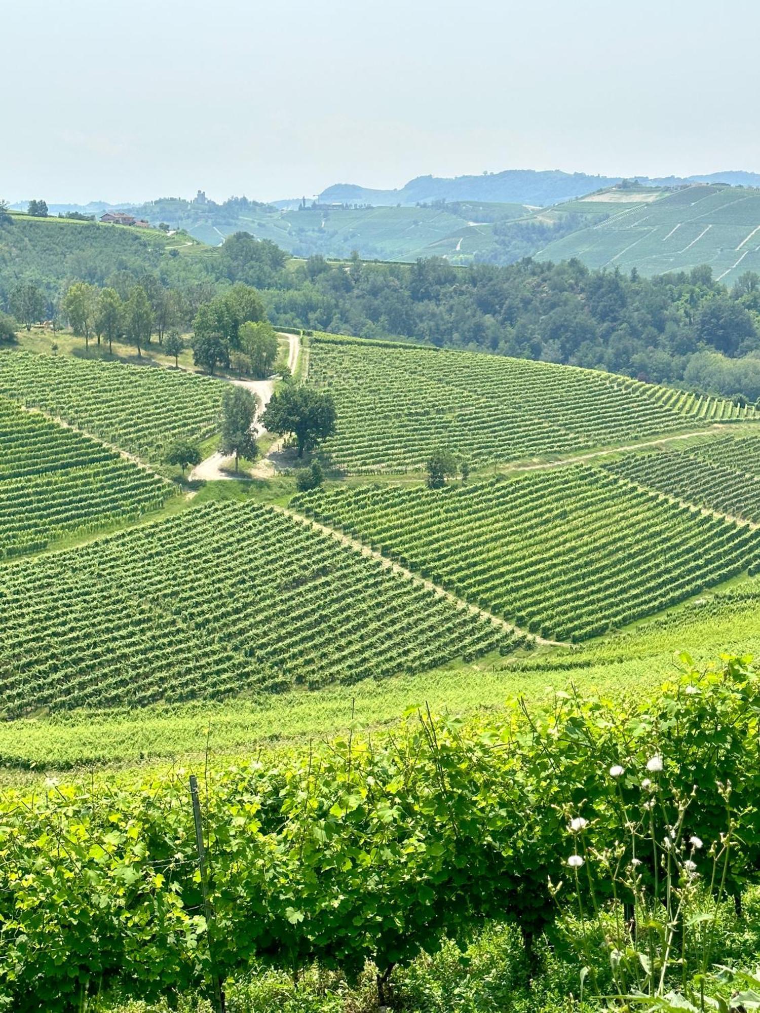 노벨로 Just Langhe Casa Barolo 빌라 외부 사진